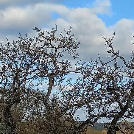 Rez De Chaussee Renove Confort A Proximite Thermes Et Casino Apartment *