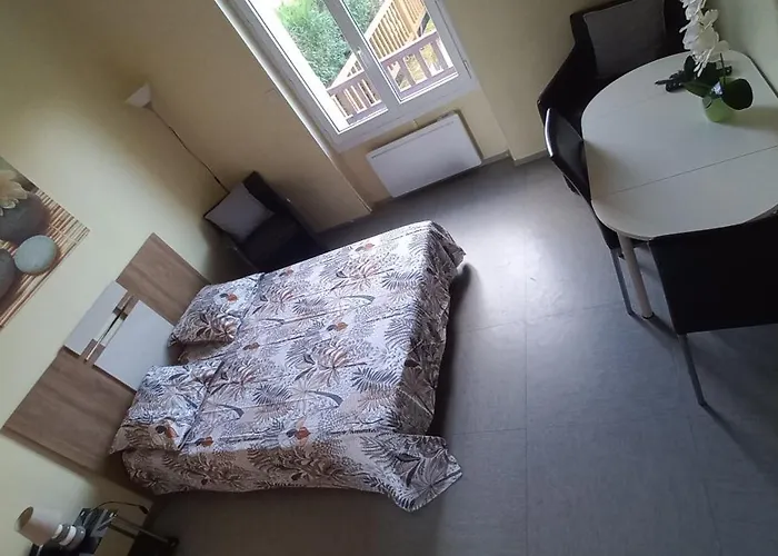 Rez De Chaussee Renove Confort A Proximite Thermes Et Casino * La Roche-Posay