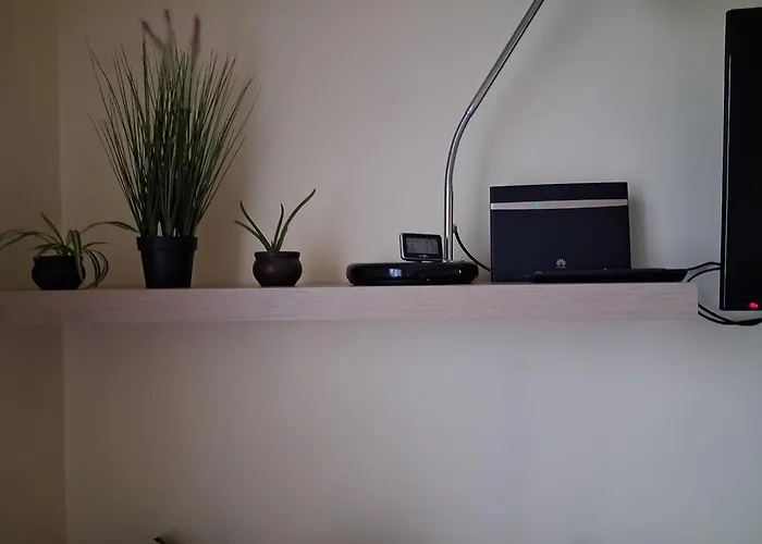 Apartment Rez De Chaussee Renove Confort A Proximite Thermes Et Casino