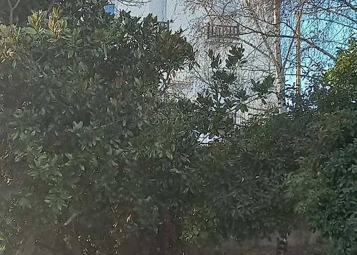 Rez De Chaussee Renove Confort A Proximite Thermes Et Casino Apartment